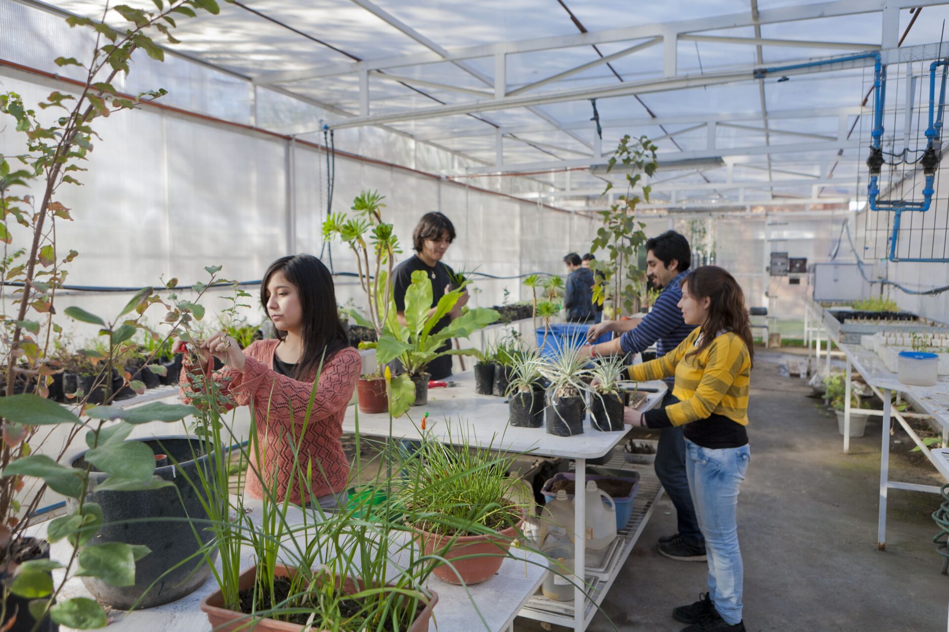 Vida_Universitaria_A-2-1920x1280