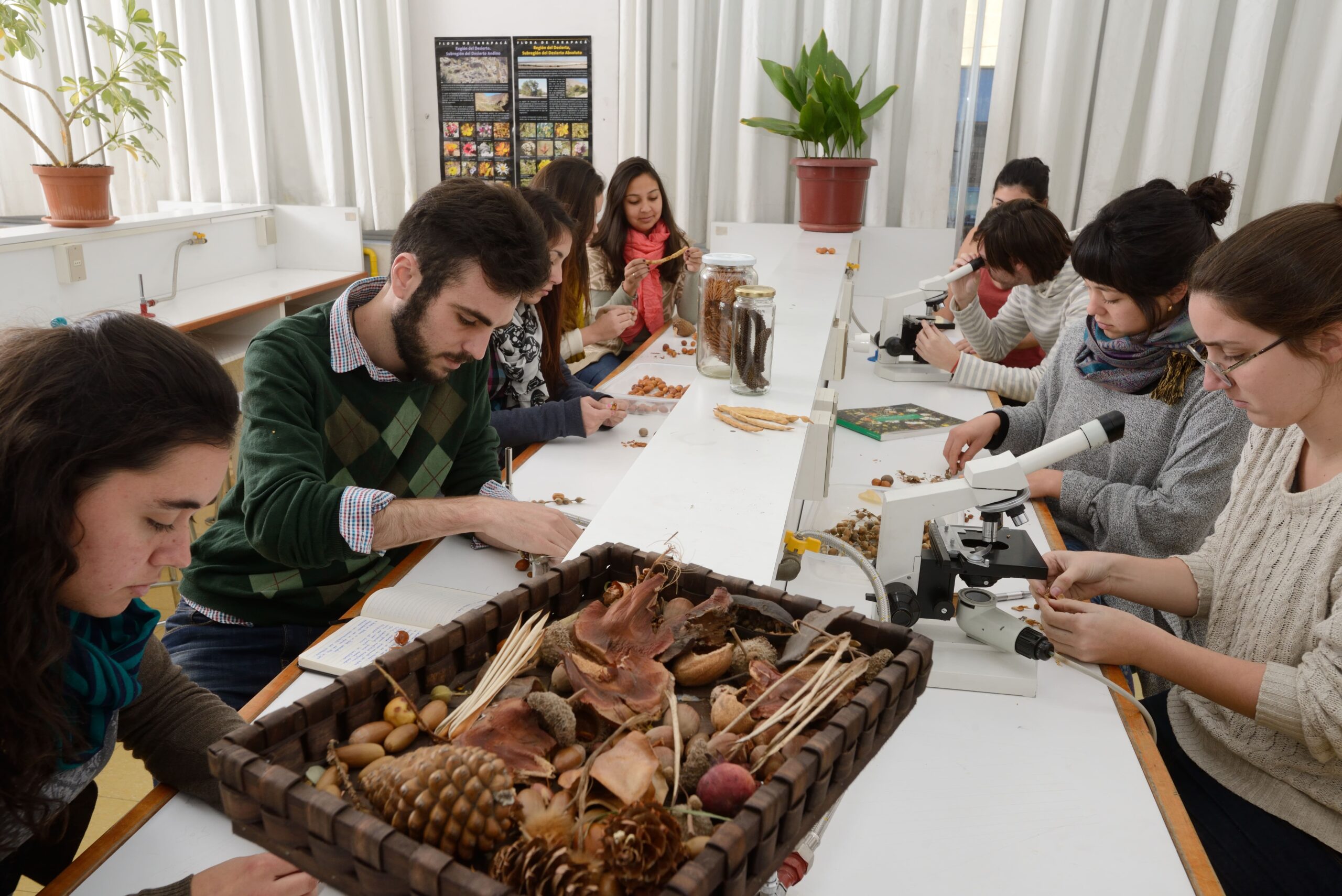 Vida_Universitaria_C-2